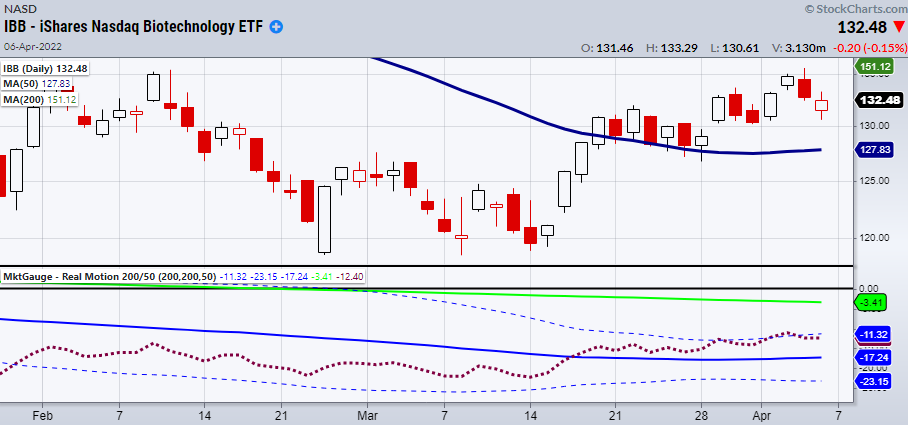 IBB Daily Chart