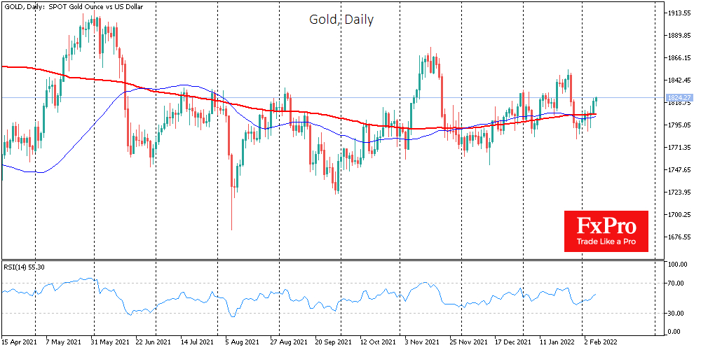 Gold daily chart.