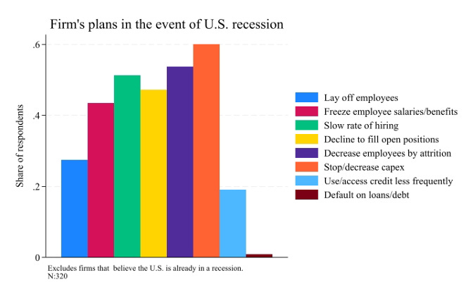 Firms Plans in the Event of a US Recession