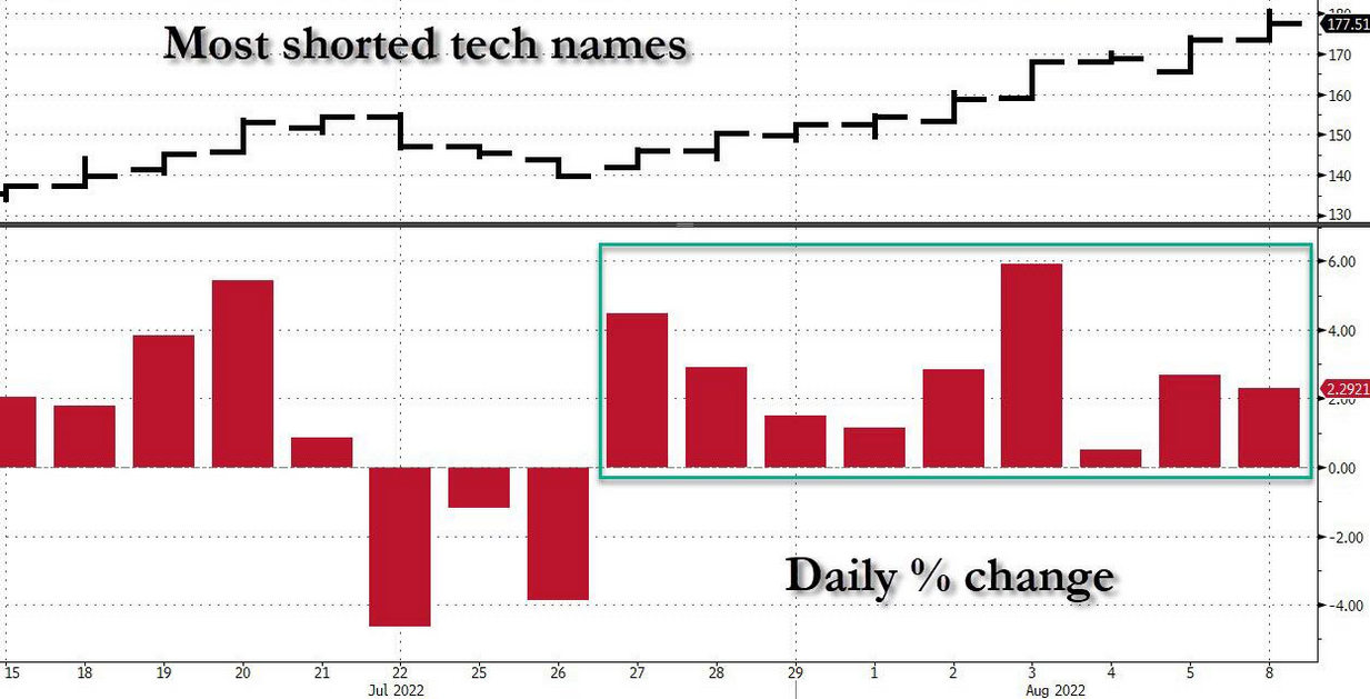 Most Shorted Tech Names