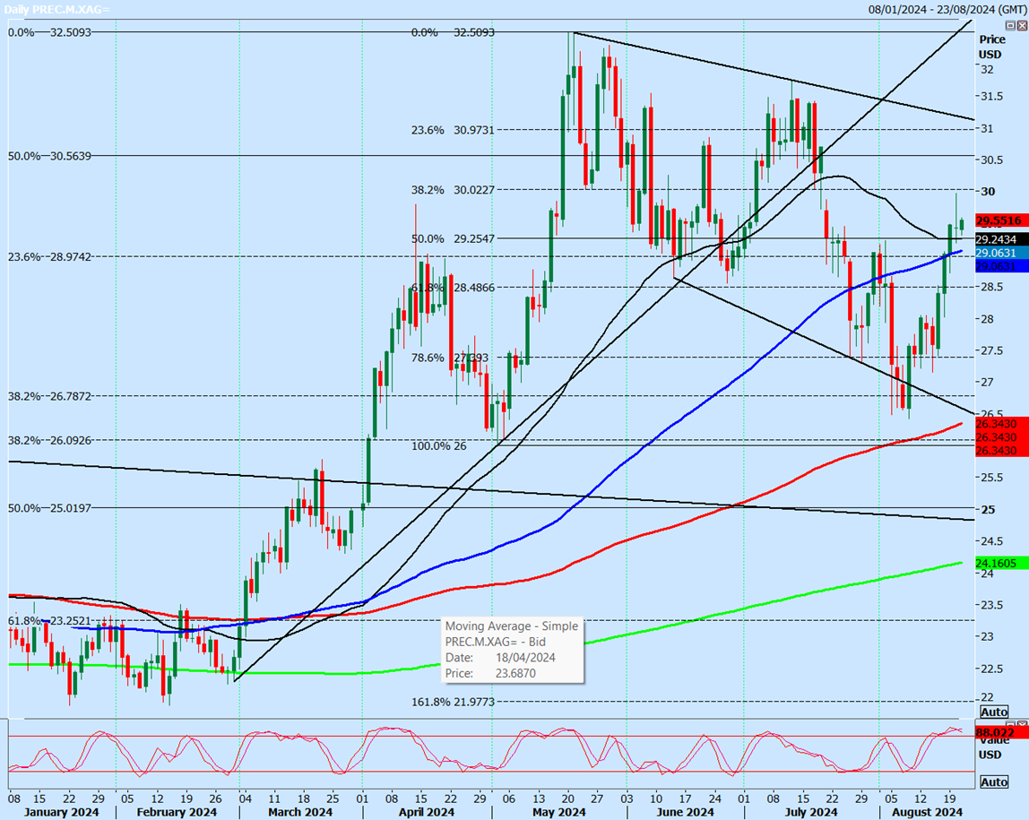 Silver-Daily Chart