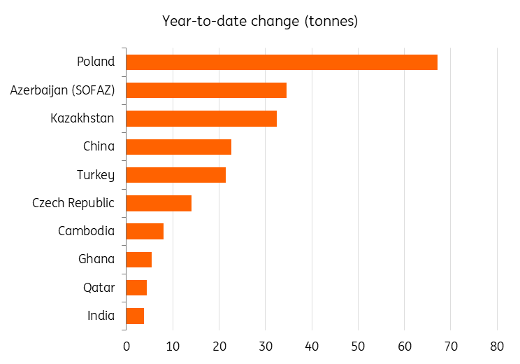 Central Bank Gold Purchases 2025 YTD (Tonnes)