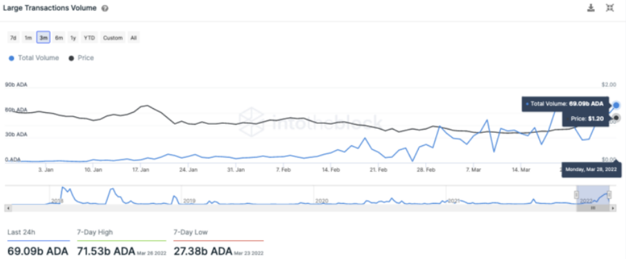 ADA Large Transactions Volume