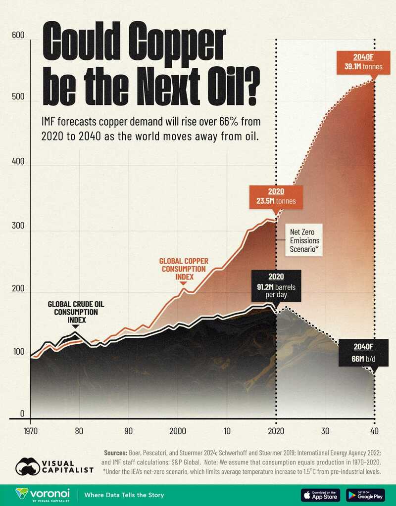 Infographic 1