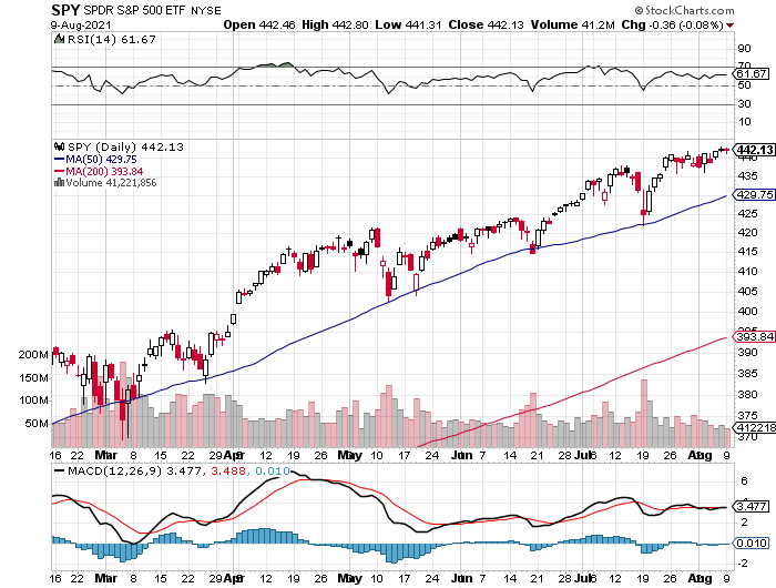 SPY Daily Chart