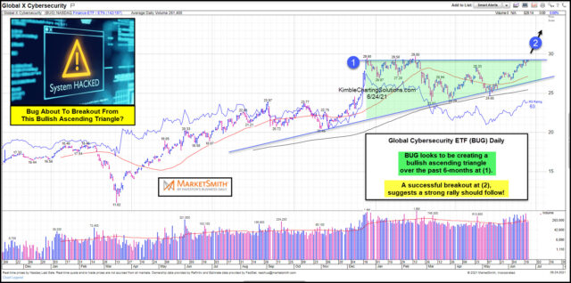 BUG ETF Daily Chart.