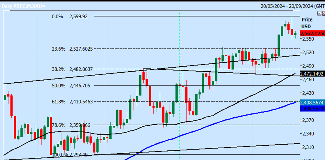 Gold Daily Chart