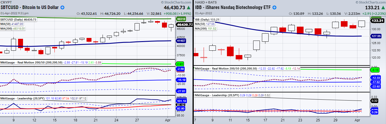 BTC-IBB Daily Charts