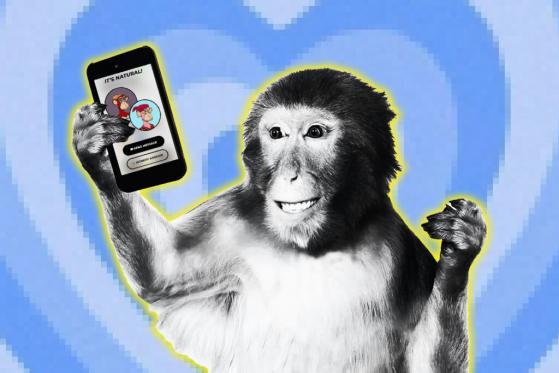 Lonely Ape Dating Club – the Dating App for NFT Collectors
