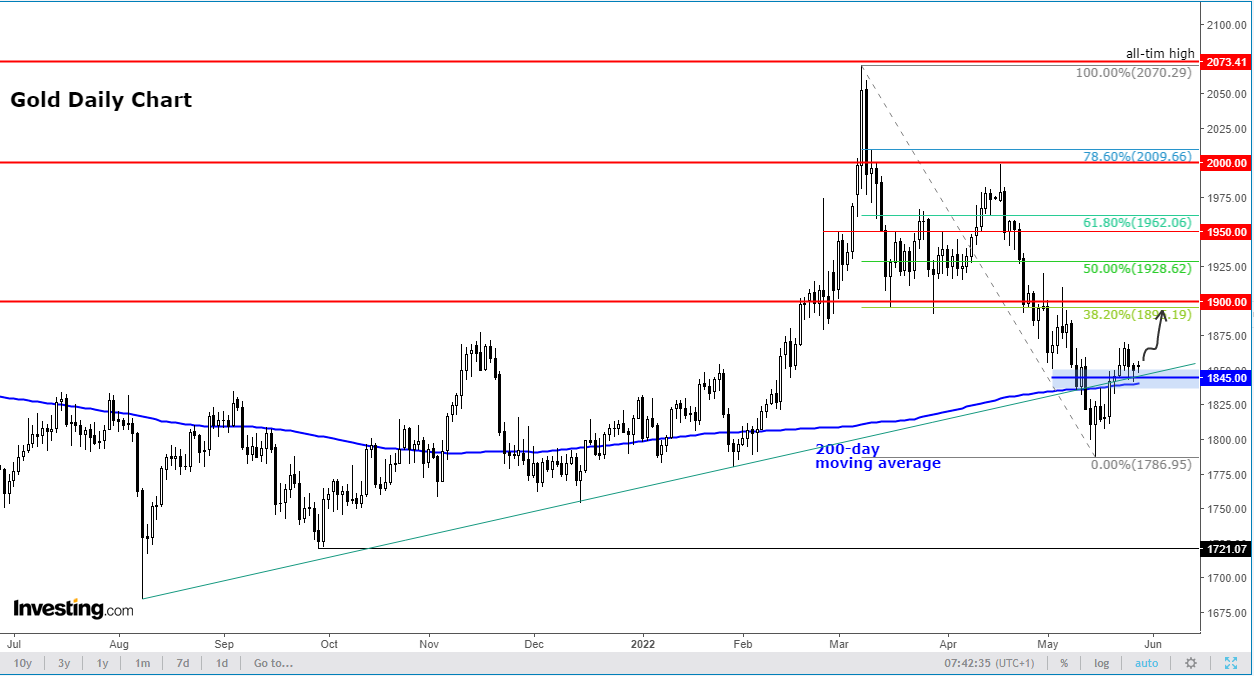 Gold Daily