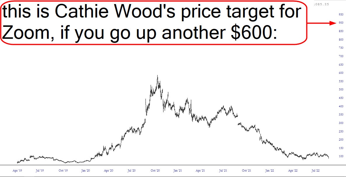 Cathie Wood's Price Target For Zoom