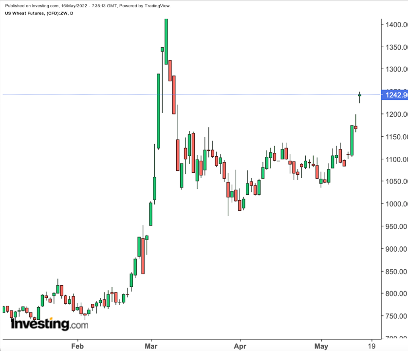 Wheat Daily