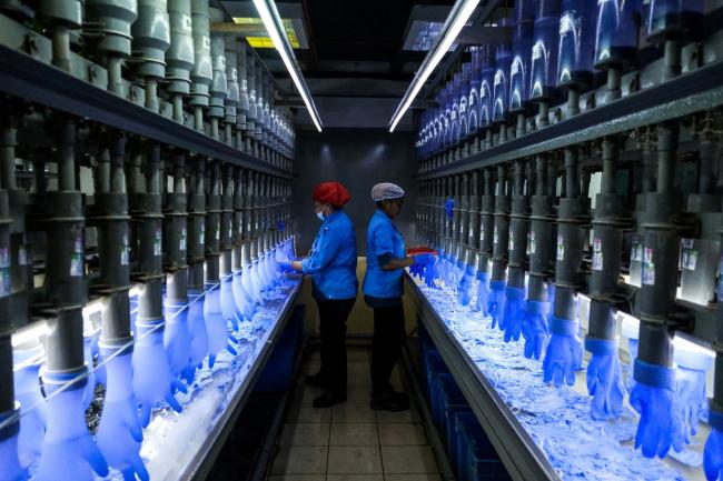 © Bloomberg. Employees check latex gloves in the watertight test room at a Top Glove Corp. factory in Setia Alam, Selangor, Malaysia, on Tuesday, Feb. 18, 2020. The world’s biggest glovemaker got a vote of confidence from investors in the credit market, as the coronavirus fuels demand for the Malaysian company’s rubber products. The World Health Organization is taking an unprecedented step of negotiating directly with suppliers to improve access to gloves, face masks and other forms of protective equipment.