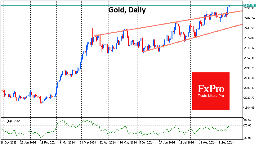 Gold-Daily Chart