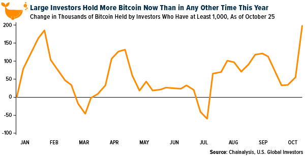 Large Investors Hold More Bitcoin