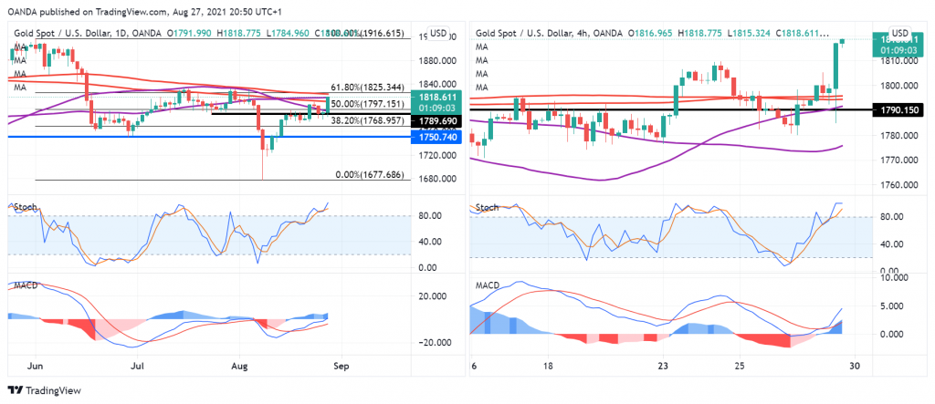 ZAU/USD Daily Chart.