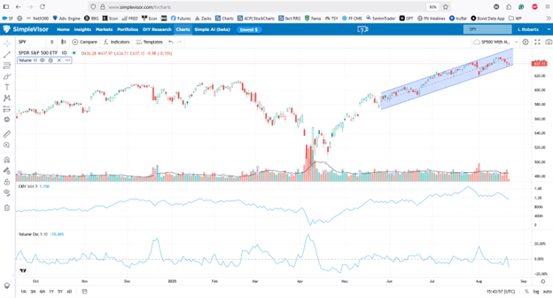 Momentum Trends