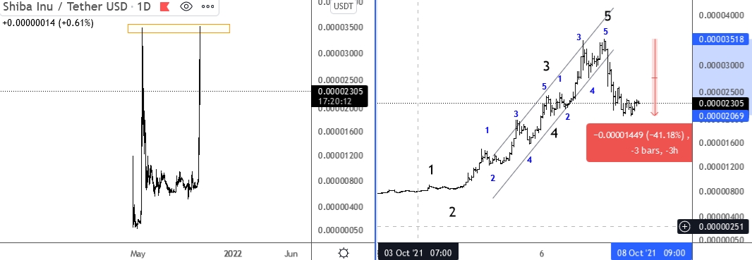 Shiba Inu Elliott Wave technical analysis.