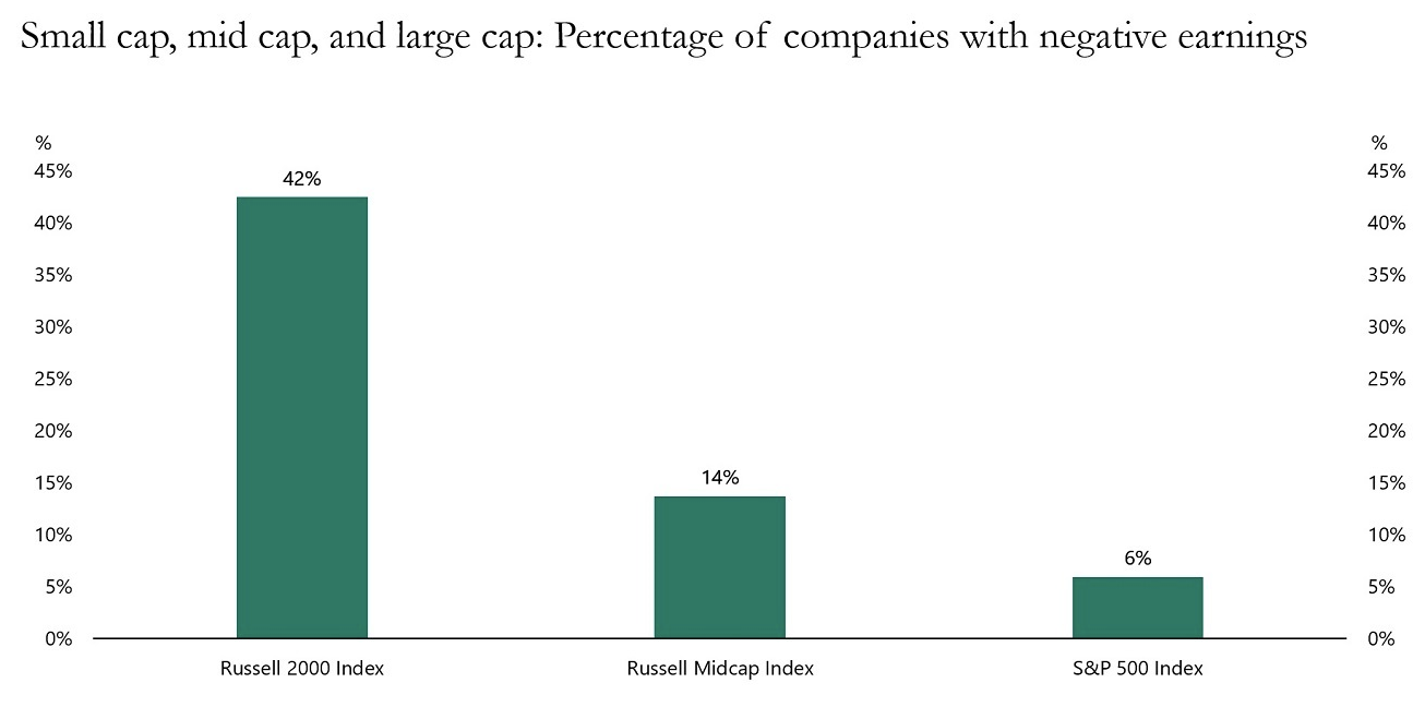 Companies with Negative Earnings