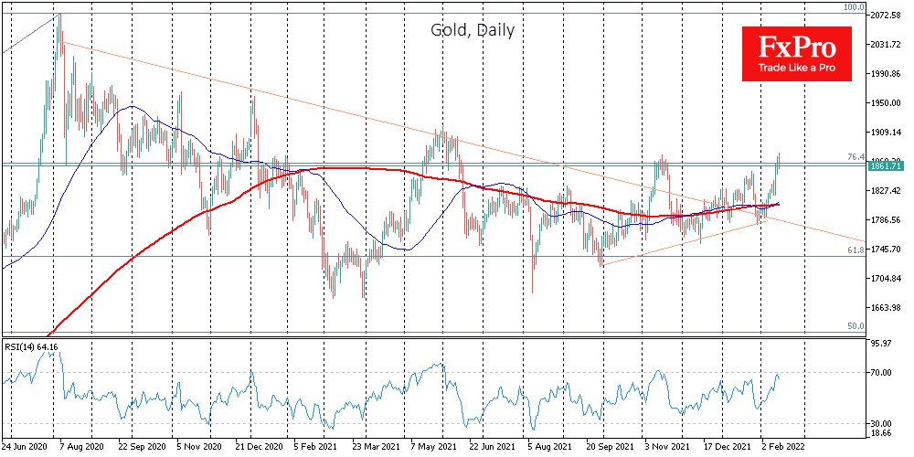 Gold daily chart.