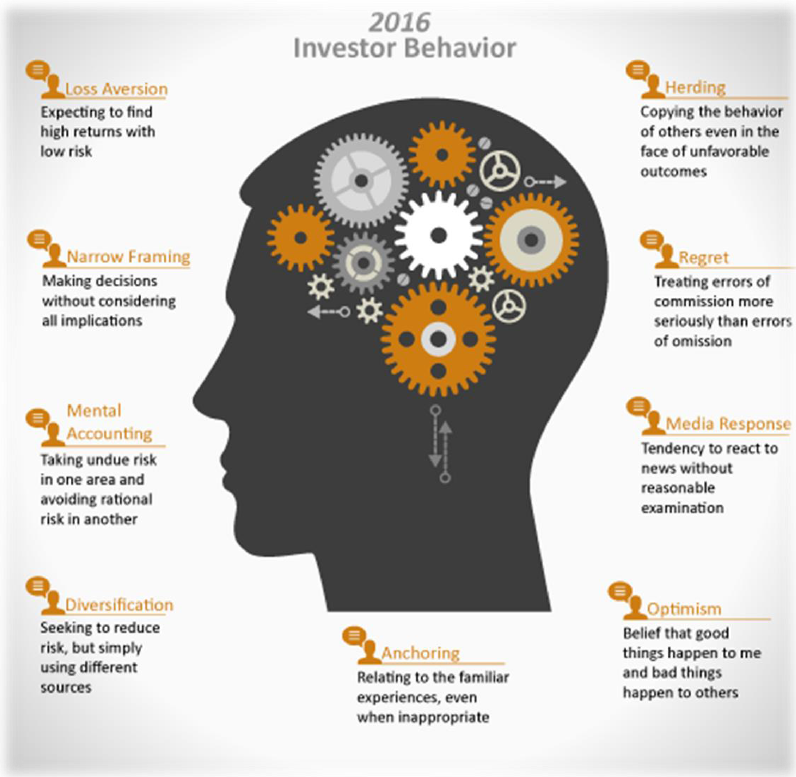 2016 Investor Behavior