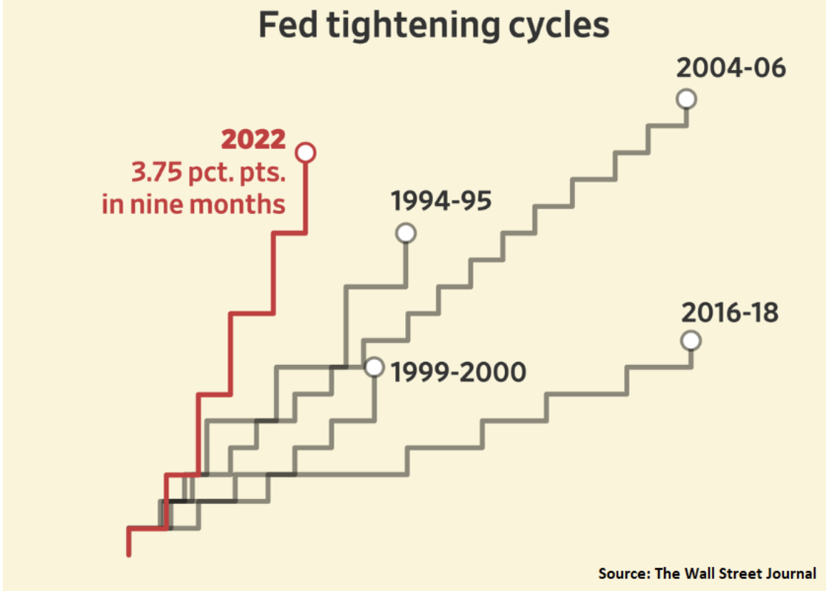Fed Tightening Cycles