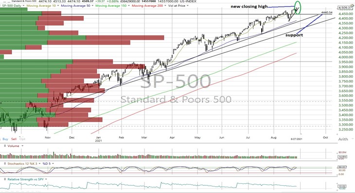 SPX Daily Chart