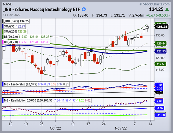 IBB Daily Chart