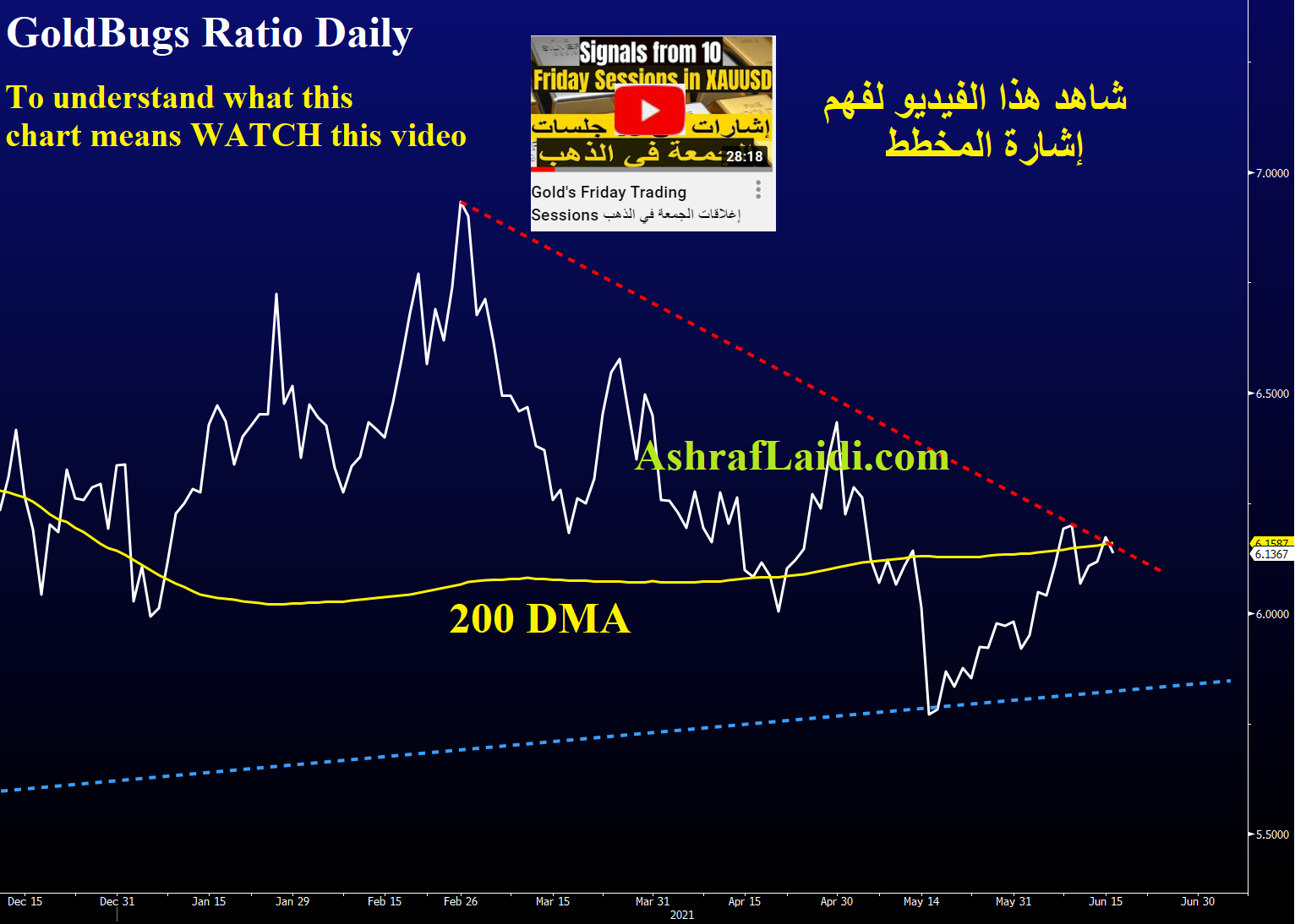 Gold Bugs Ratio Daily Chart