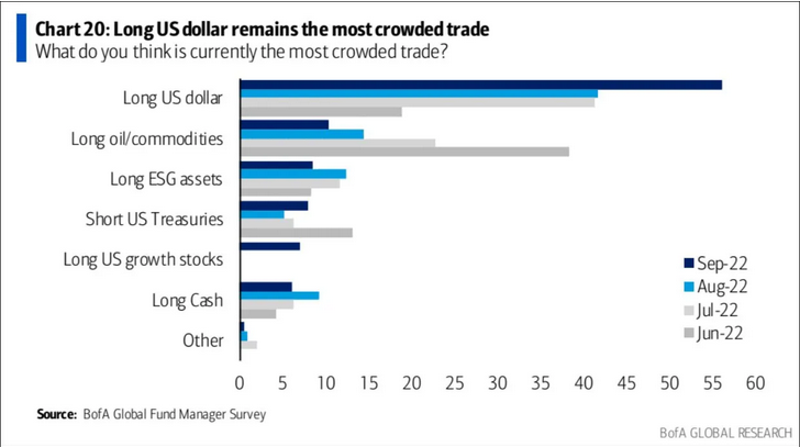 US Dolar - Most Crowded Trade