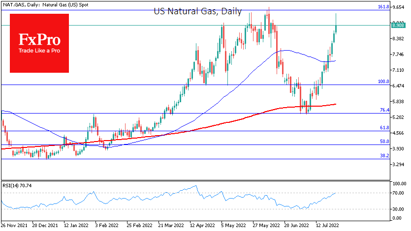 Natural gas futures daily chart.