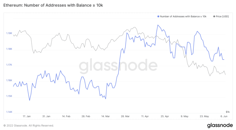 Ethereum Addresses Holding More Than 10,000 ETH