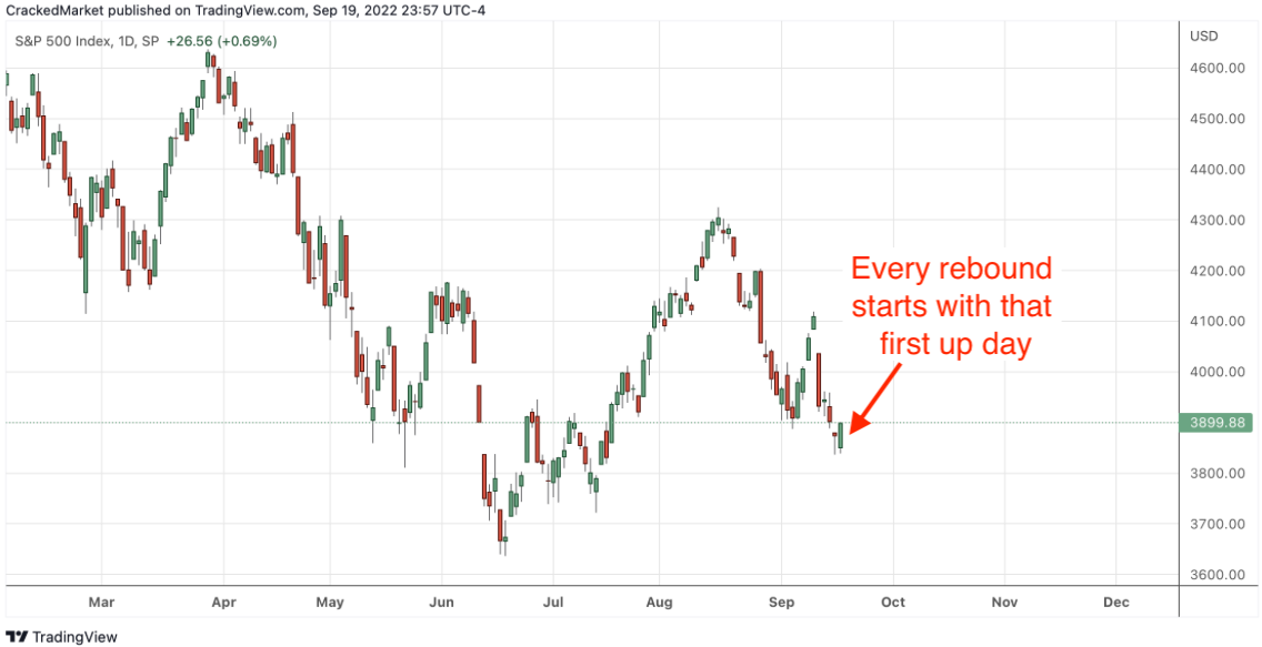 SPX Daily Chart