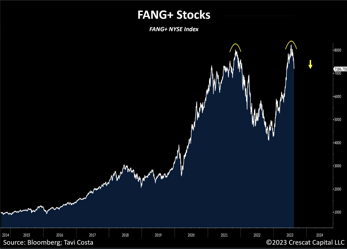FANG + Total Market Monthly Chart