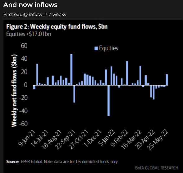 Equity Inflows