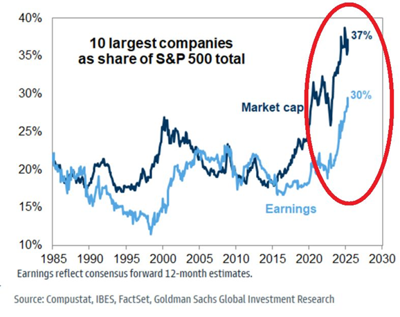 10 Largest Compaines of S&P 500