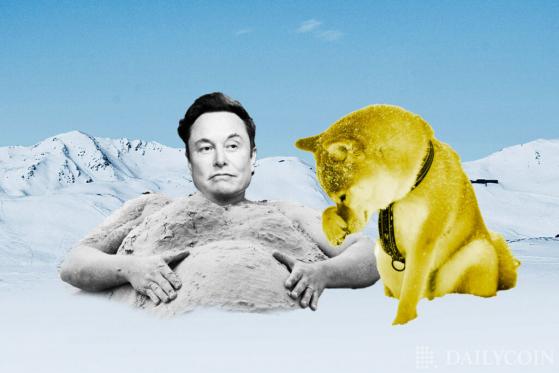 Elon Musk Says He’ll Continue Supporting and Buying Dogecoin DOGE Despite Lawsuit and Bearish Market