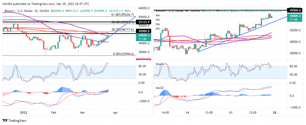 BTC/USD Daily And 4-Hour Charts.