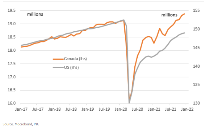 Employment Levels