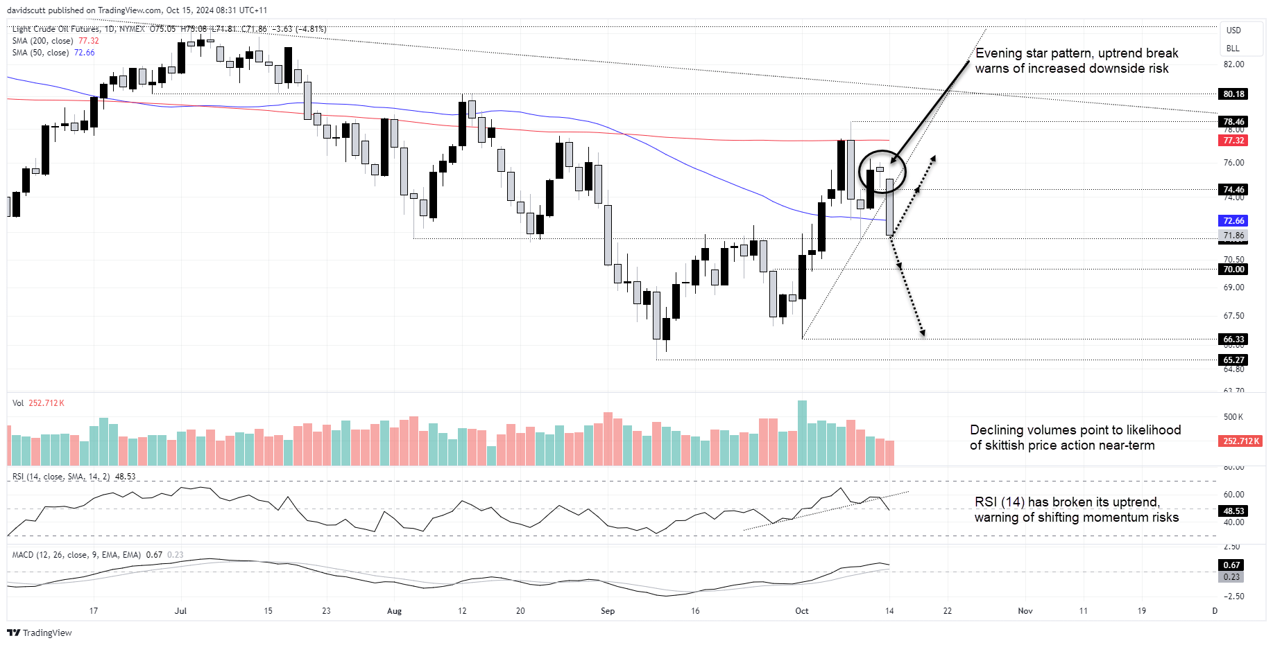 Crude Oil-Daily Chart