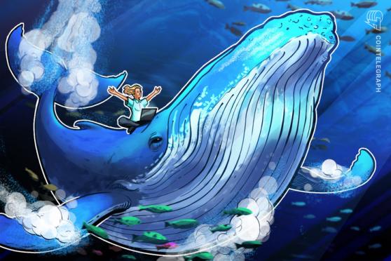 ‘Can it get any easier?’ Bitcoin whales dictate when to buy and sell BTC