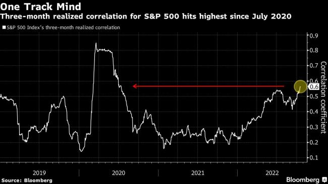 It’s a Stock Picker’s Nightmare With Everything Moving in Tandem