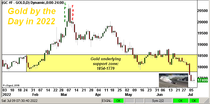 Gold Daily Chart