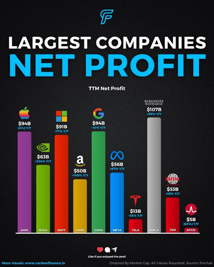 Largest Companies - Net Profit