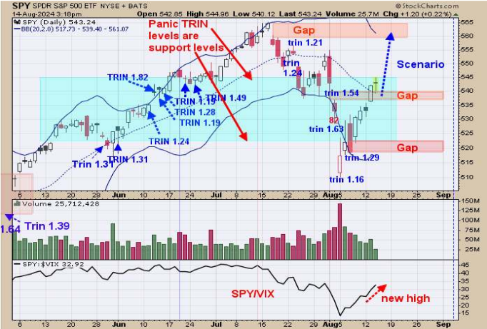 SPY Daily Chart