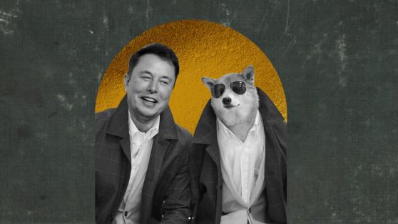 Elon Musk Encourages Dogecoin (DOGE) Holders to Leave Centralized Exchanges
