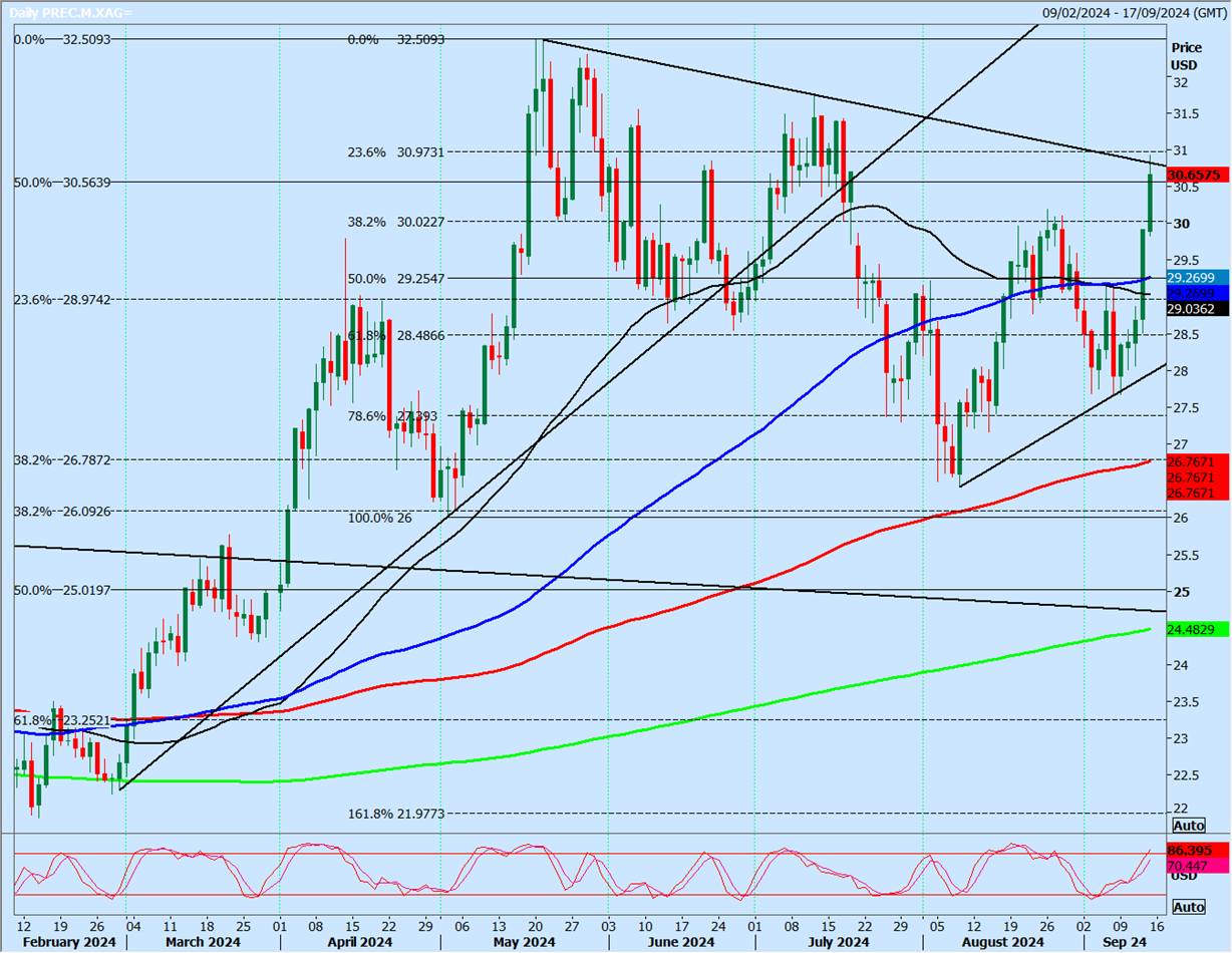 Silver-Daily Chart