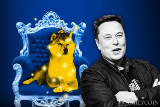 Dogecoin Shines as Elon Musk Shows Support