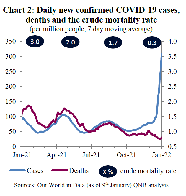 Daily New Confirmed COVID-19 Cases, Deaths, Crude Mortality Rate