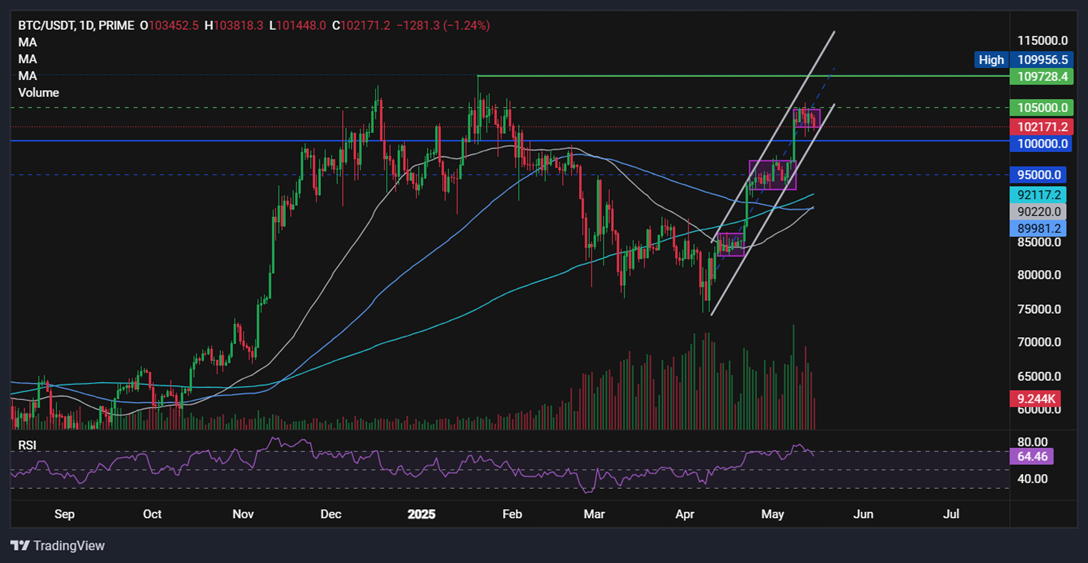 BTC/USD-Daily Chart